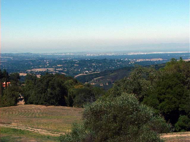 View of Palo Alto