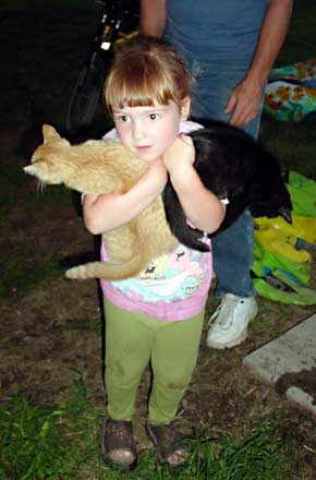 Rose and two kittens